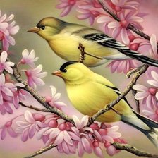 пара птиц на цветущей ветке