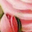 Предпросмотр схемы вышивки «колибри и роза» (№950668)