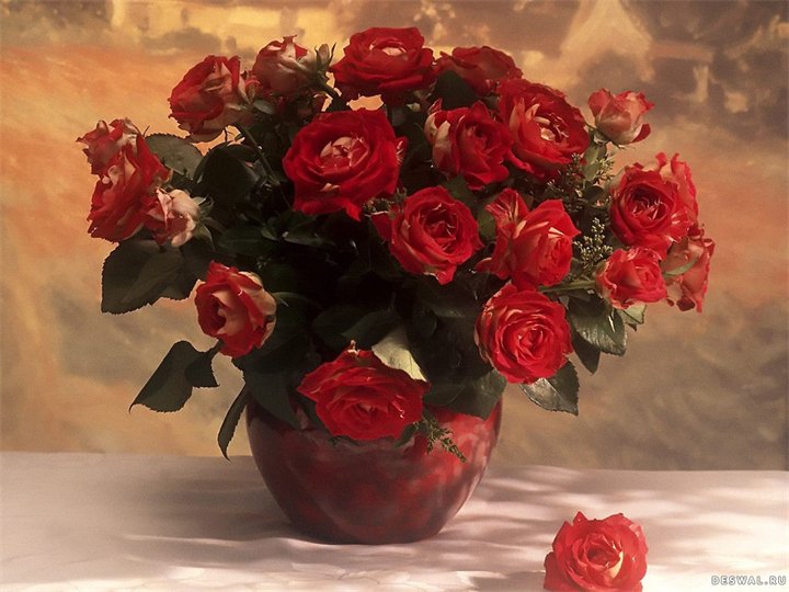 розы - цветы - оригинал
