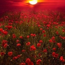 Схема вышивки «закат»