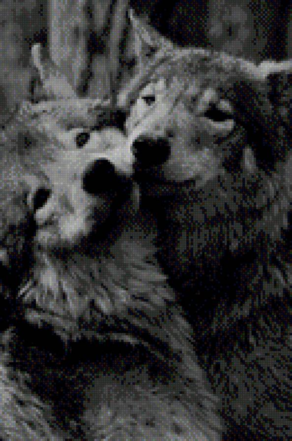 Волчата - предпросмотр