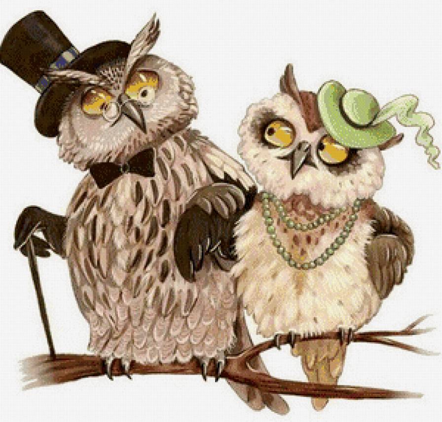 Парочка - предпросмотр