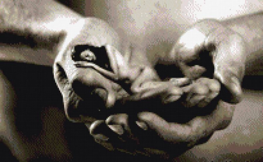 руки - предпросмотр