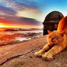 Схема вышивки «рыжик на закате»