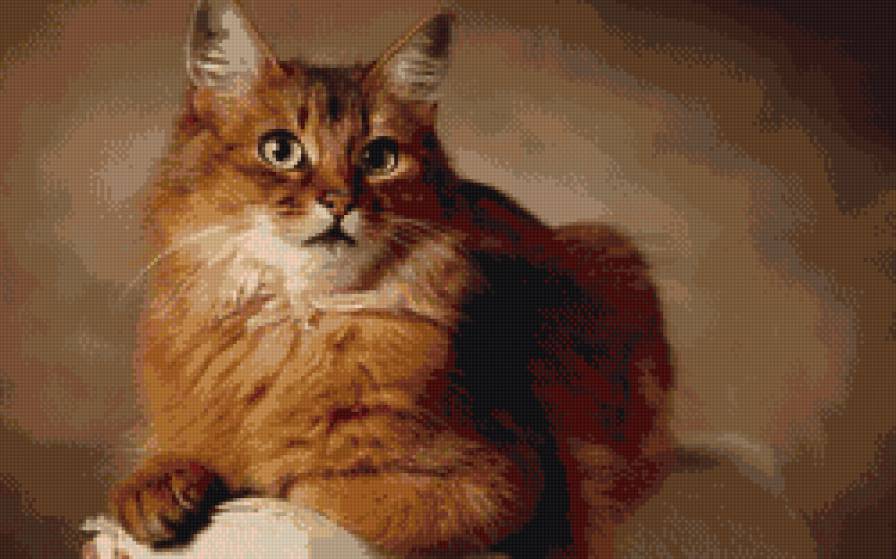 рыжее чудо - кошки, животные - предпросмотр