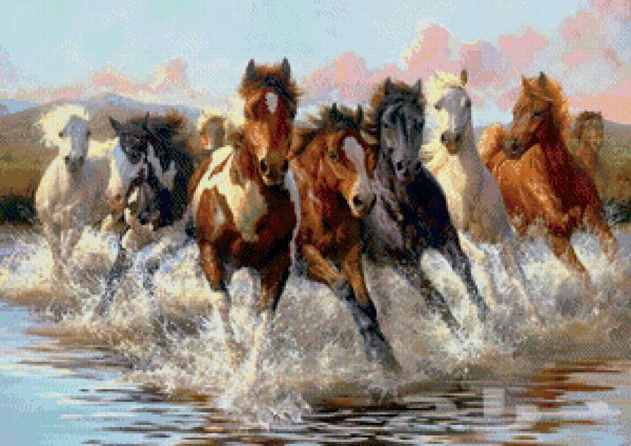 лошади - животные - предпросмотр