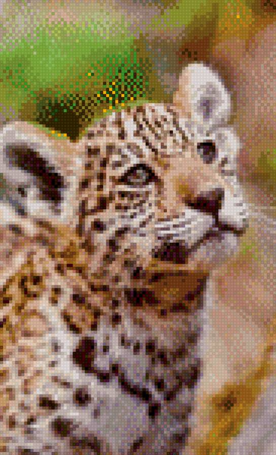 Кошечка - маленький, кошка, дикий, животные - предпросмотр