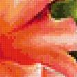 Предпросмотр схемы вышивки «панно с цветами петунии (комплект) 1» (№950882)