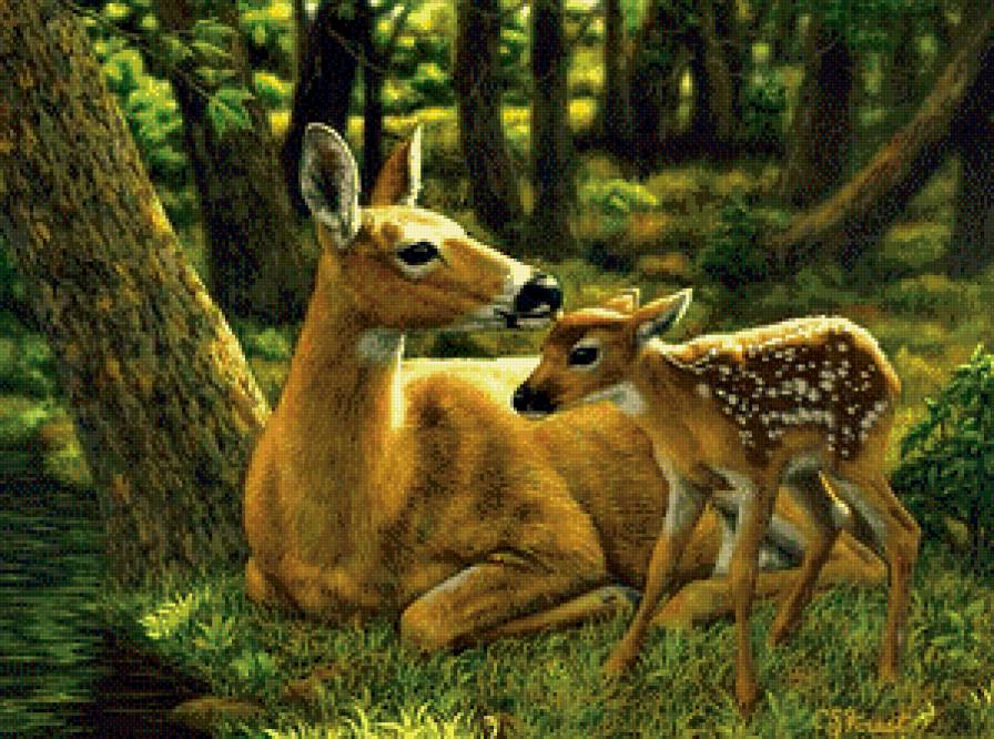 Серия "Дикая природа" - олененок, олени, летний пейзаж, мать и дитя, отдых - предпросмотр