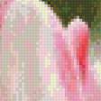 Предпросмотр схемы вышивки «тюльпаны» (№951462)