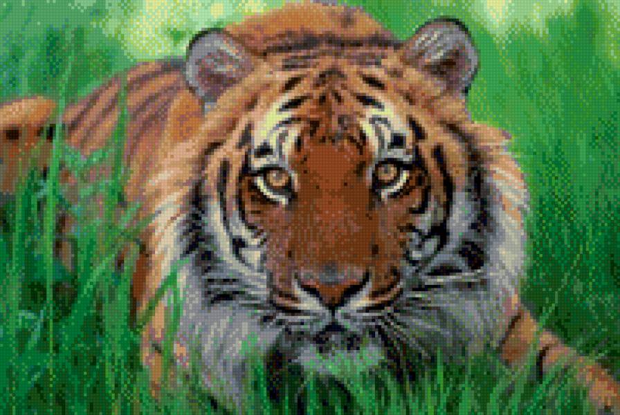 полосатик - животные - предпросмотр