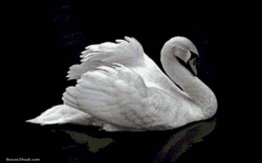 №951711 - предпросмотр