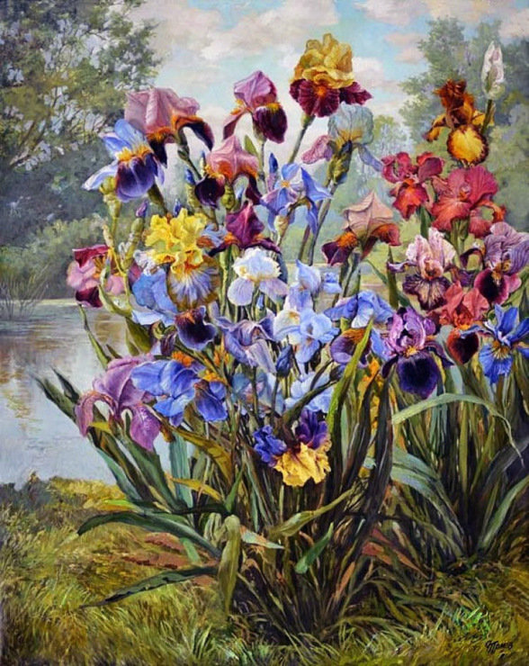 №951823 - ирисы - оригинал