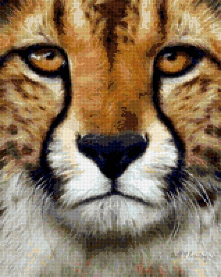 Взгляд 5 - животные - предпросмотр