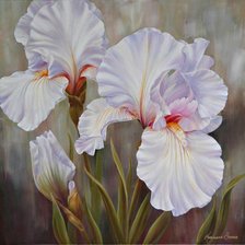 Схема вышивки «№951835»