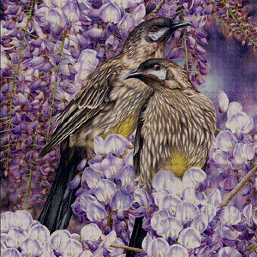 птицы - птицы - предпросмотр