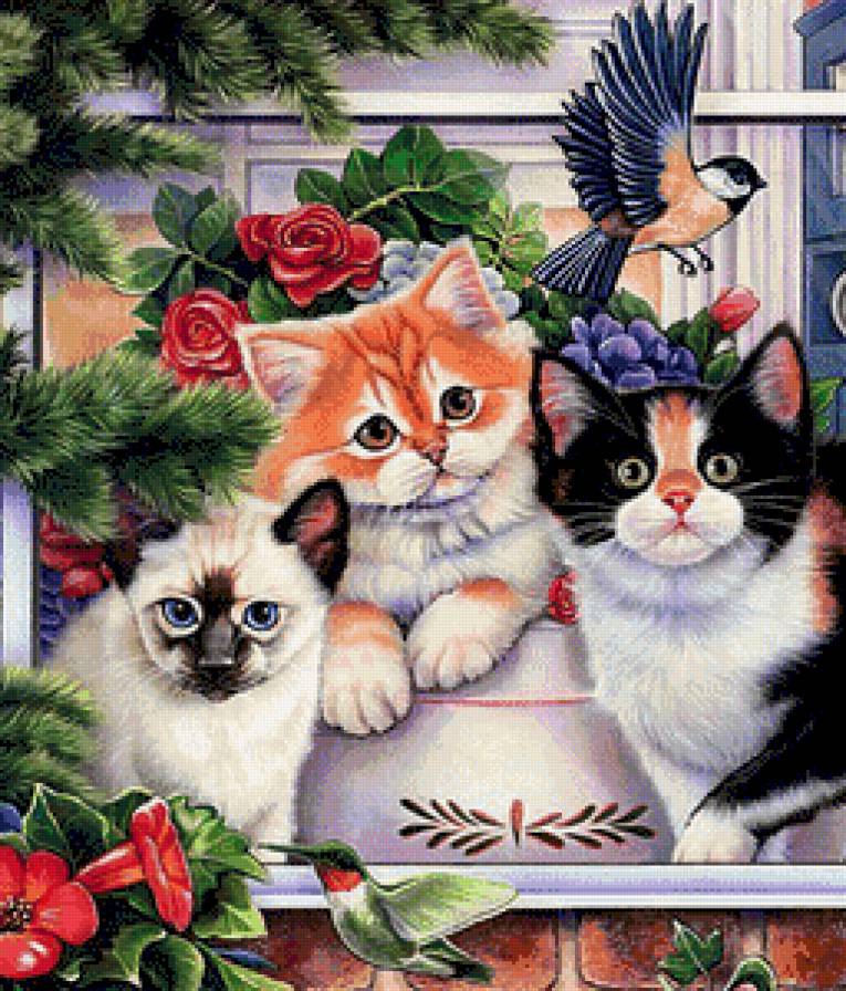 Котята - кот, животные, кошка, котенок - предпросмотр