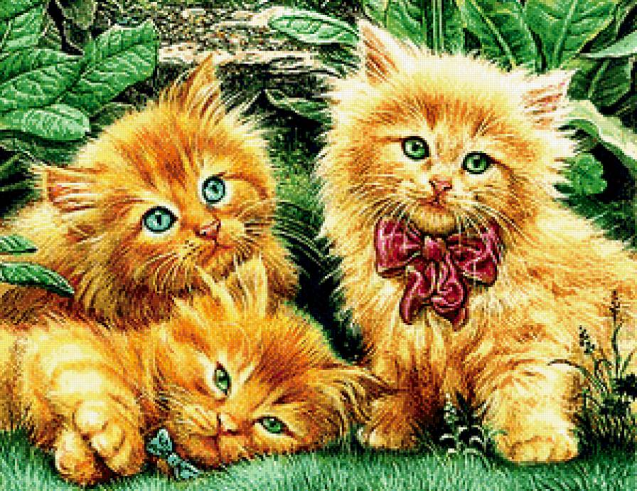 Серия "Домашние любимцы" - природа, бантик, рыжие котята - предпросмотр
