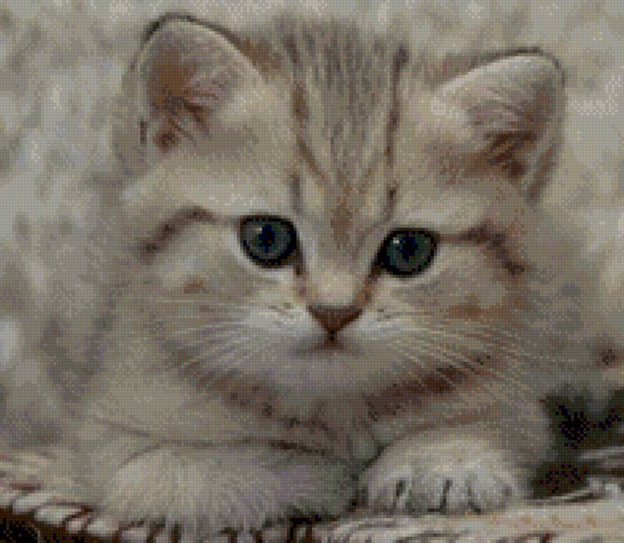 котик - коты - предпросмотр