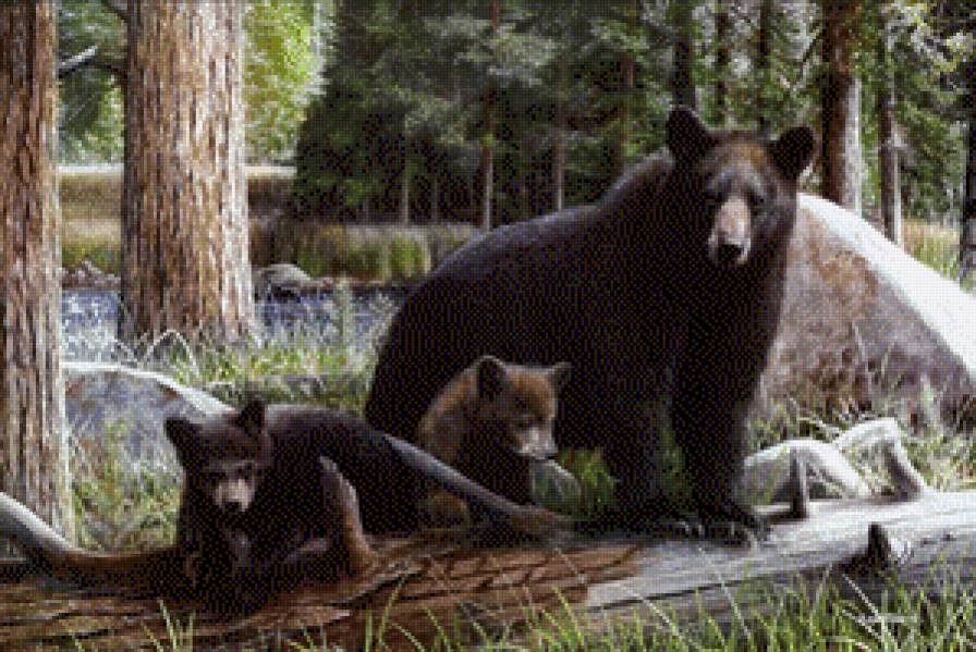 семья-80 - предпросмотр