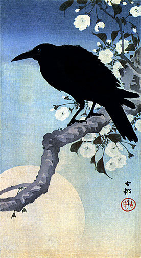 Ворон на вишневой ветке - сакура, япония, природа - оригинал