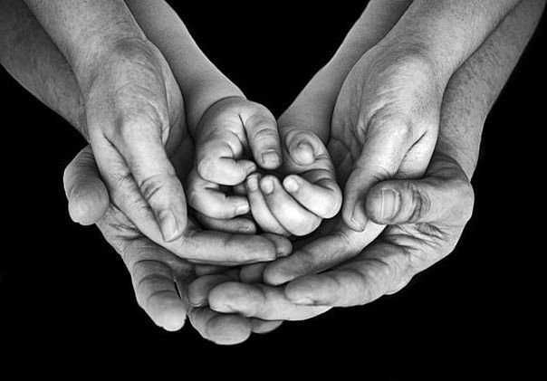 Ладошки - оригинал