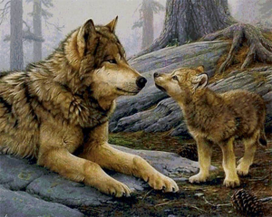 волки - предпросмотр