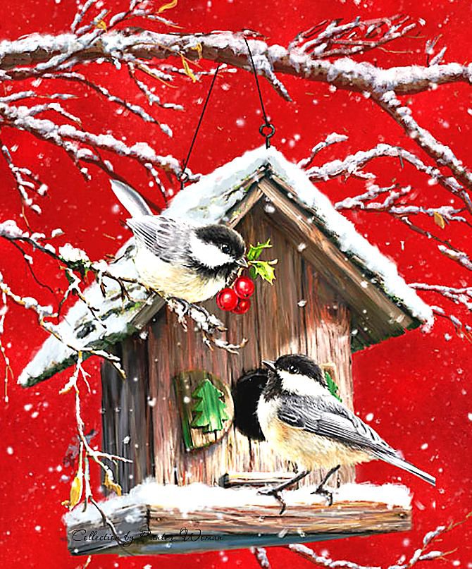 воробьи у скворечника - зима, ветка, снег, птицы, воробьи, скворечник, ягоды - оригинал