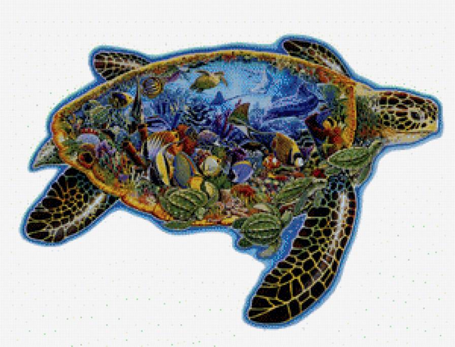 Хаед Черепаха и Красное море - ракушки, море, рыбки, черепаха - предпросмотр