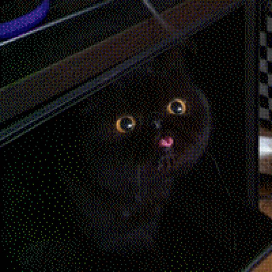 милый котик - предпросмотр