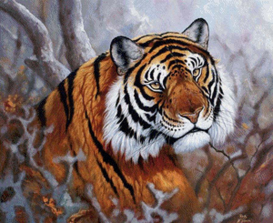 тигр - тигр, хищник - предпросмотр