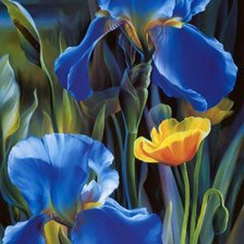 Схема вышивки «№954679»