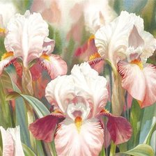 Схема вышивки «№954693»