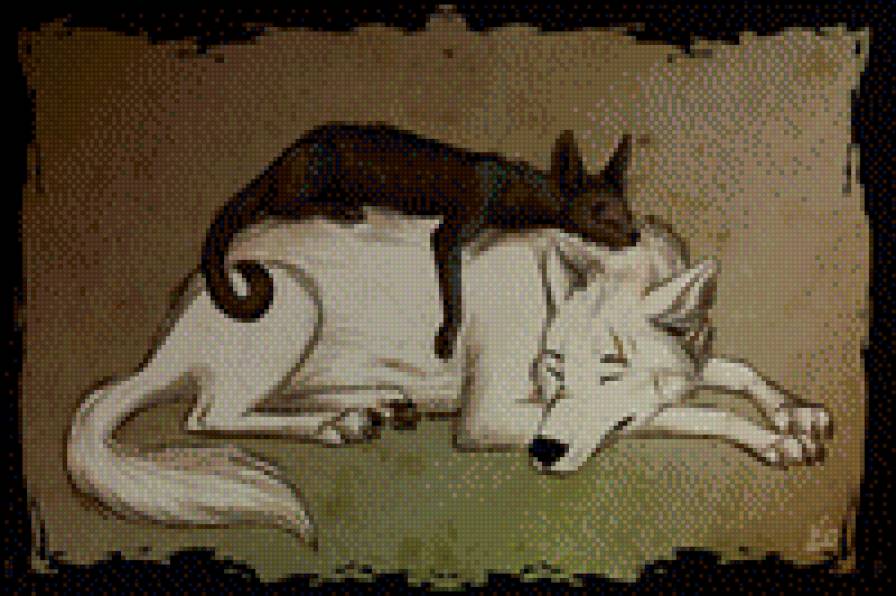 сон - волк, котик, сон - предпросмотр