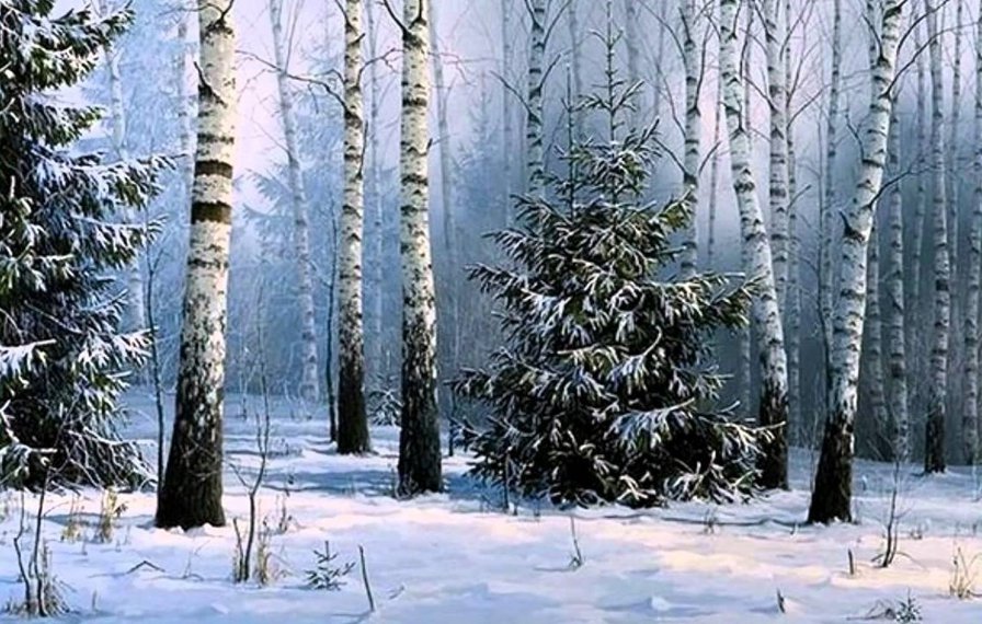 Серия "Пейзажи" - лес, зима, елки, снег, мороз, березы - оригинал