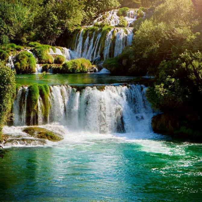 №955599 - оригинал