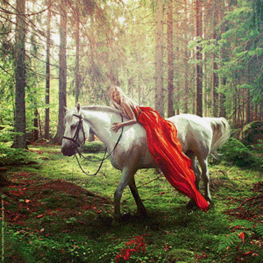 Девушка на лошади - лошадь, прогулка, девушка, лес - предпросмотр