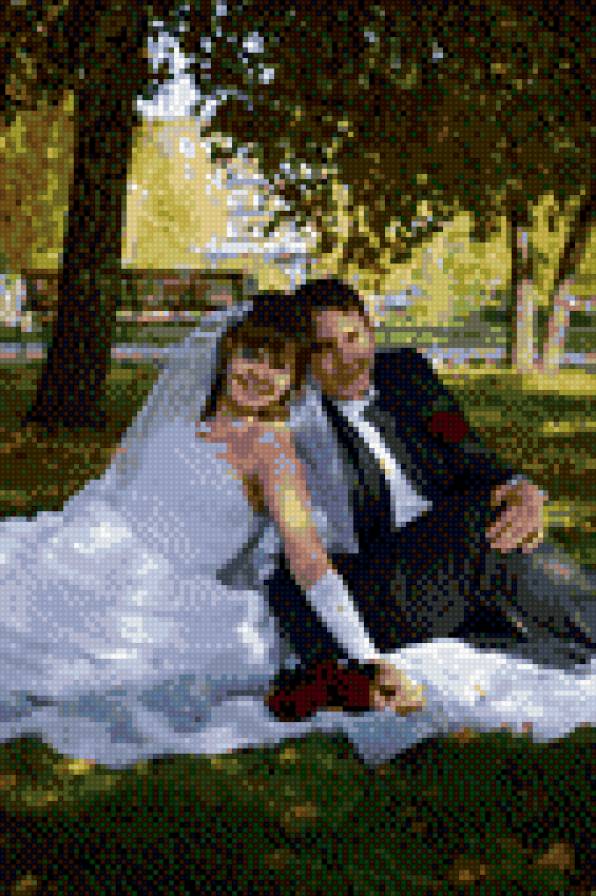 ссс - предпросмотр