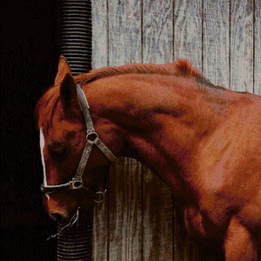 Грустный конь - предпросмотр