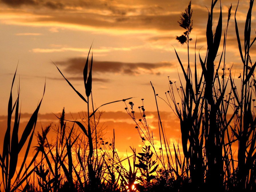 Закат на Днепре - река, закат - оригинал