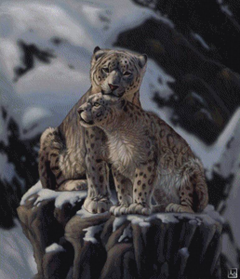 снежные барсы - барс, хищник - предпросмотр
