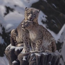 Схема вышивки «снежные барсы»