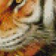 Предпросмотр схемы вышивки «пара тигров» (№956718)
