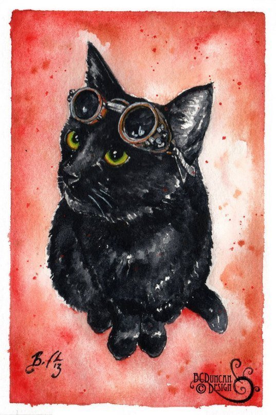 кот 3 - оригинал