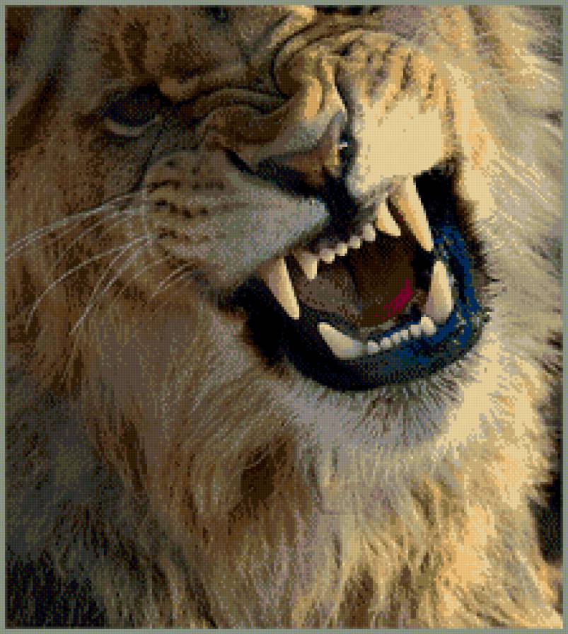 №956900 - предпросмотр