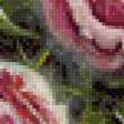 Предпросмотр схемы вышивки «Букет нежных роз» (№956913)