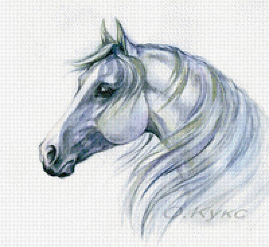 Лошадь. О.Кукс - конь, лошадь - предпросмотр