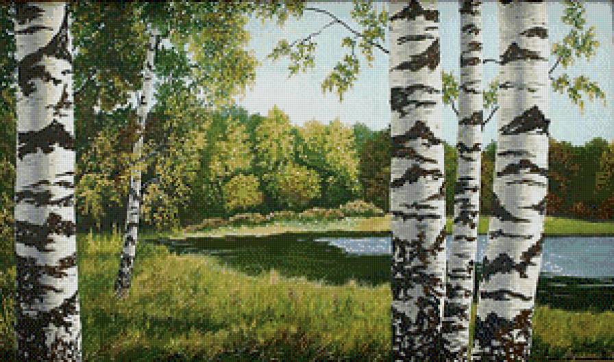 Серия "Пейзажи" - березы, вода, природа, лето, лес - предпросмотр