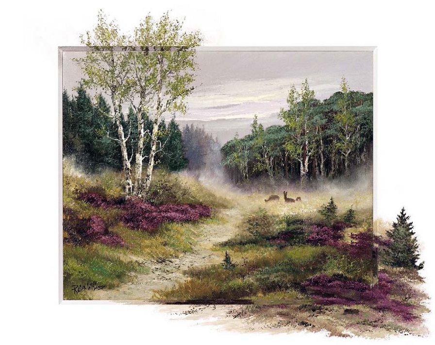 лесная опушка - лес, пейзаж - оригинал