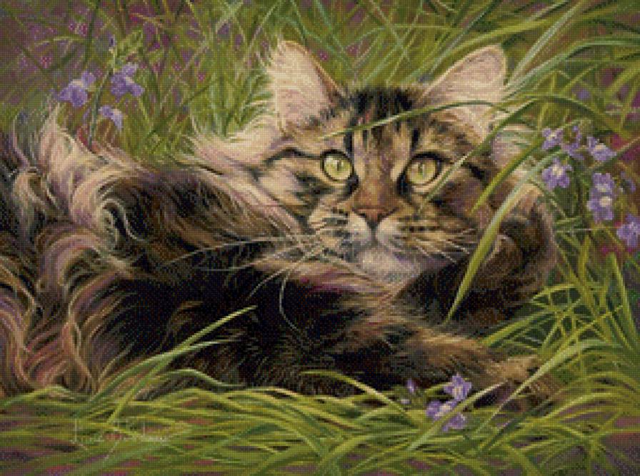 кот в траве - кот, кошка - предпросмотр